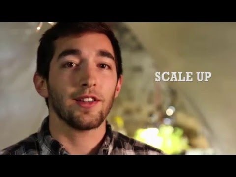 The Wall Garden gallery image