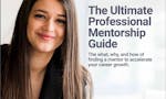 Professionals guide to Mentorship image