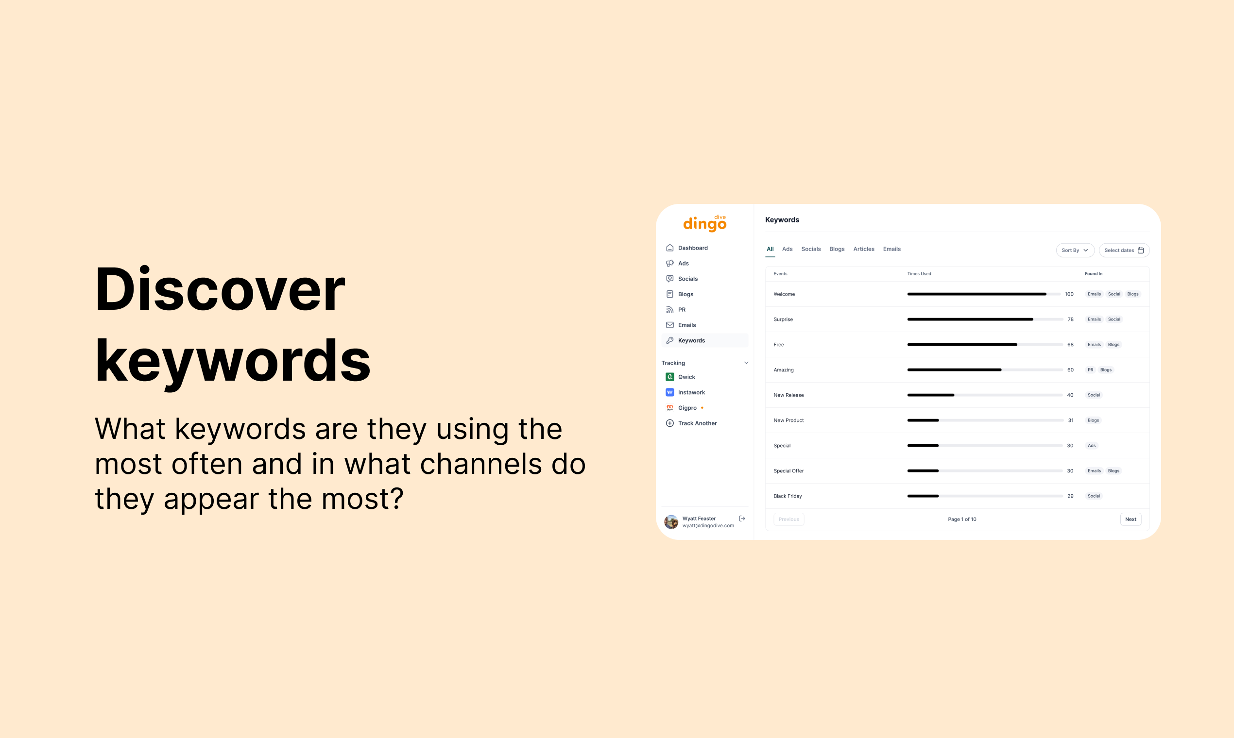 Dingo Dive gallery image
