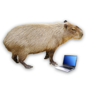 Keybara