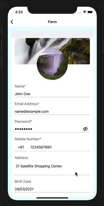 GenerateDynamicCustomForm