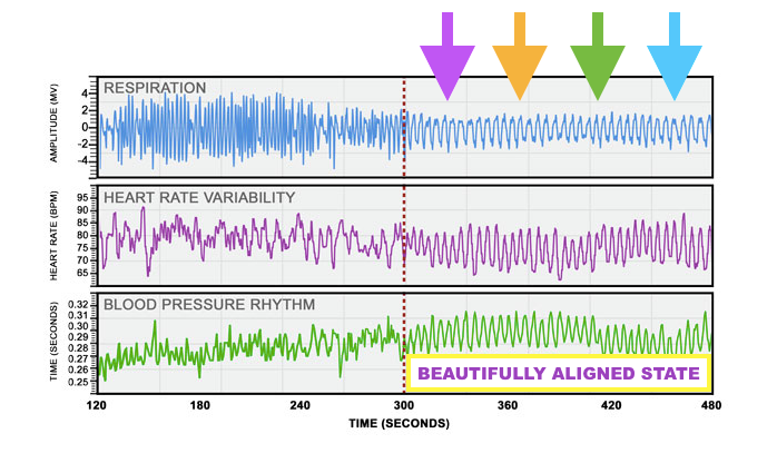 EZ Battery Manual gallery image
