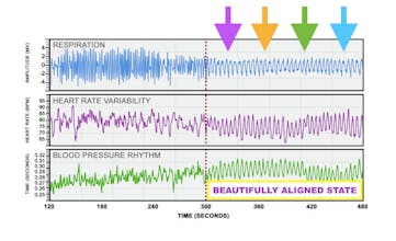 EZ Battery Manual gallery image