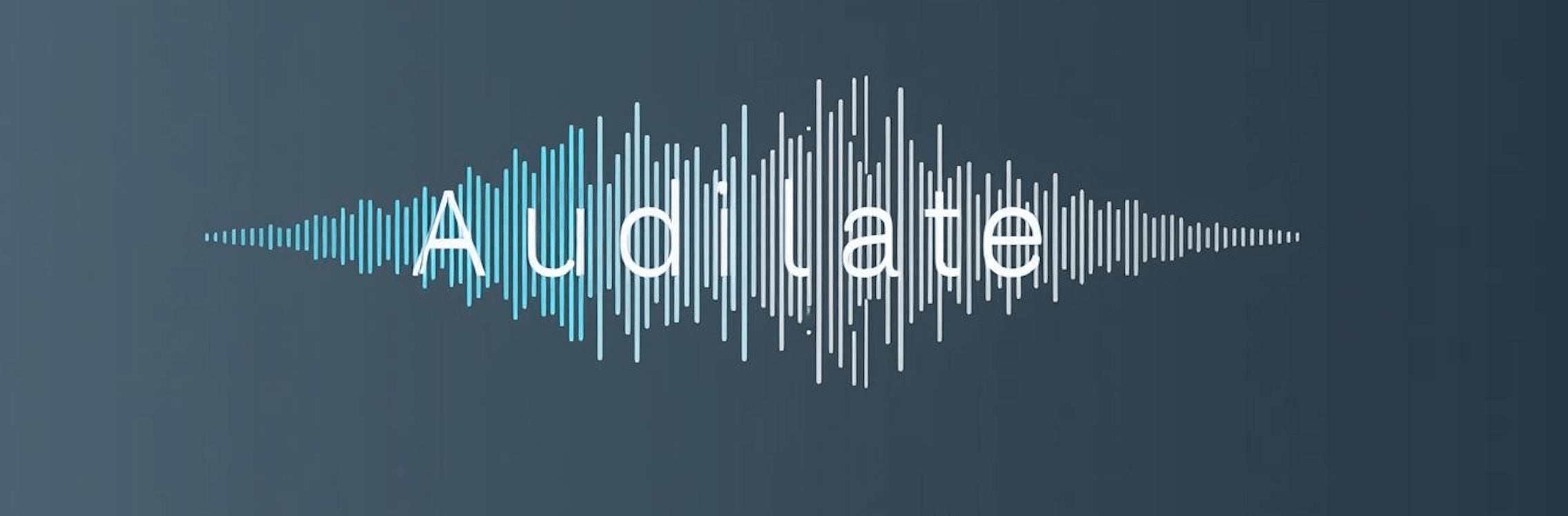 Audilate first launch