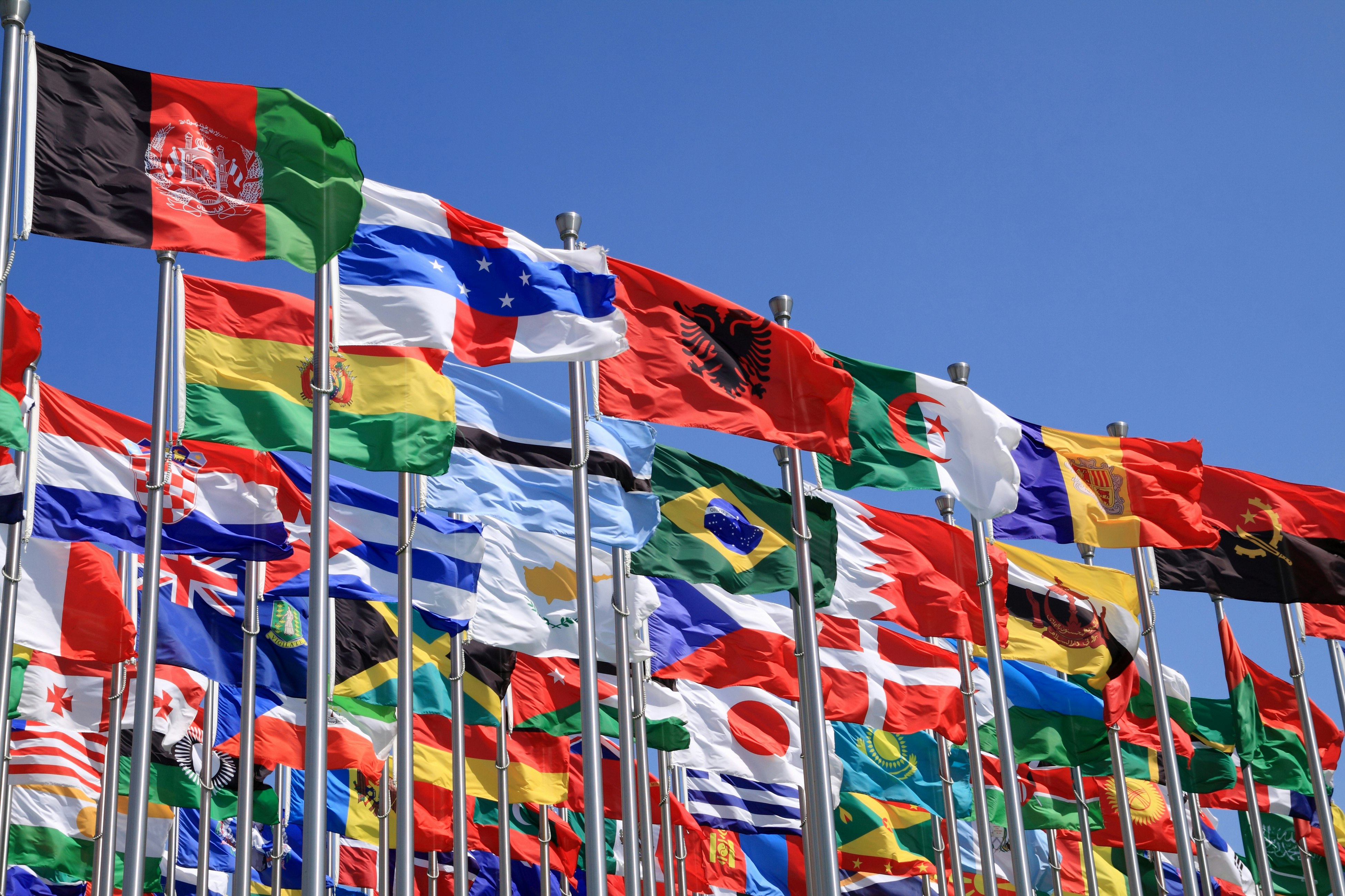 Language Models gallery image