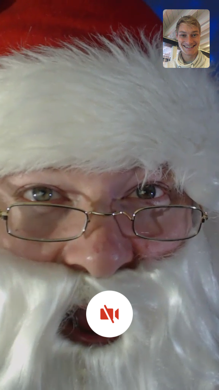 T-Rex Rocks gallery image