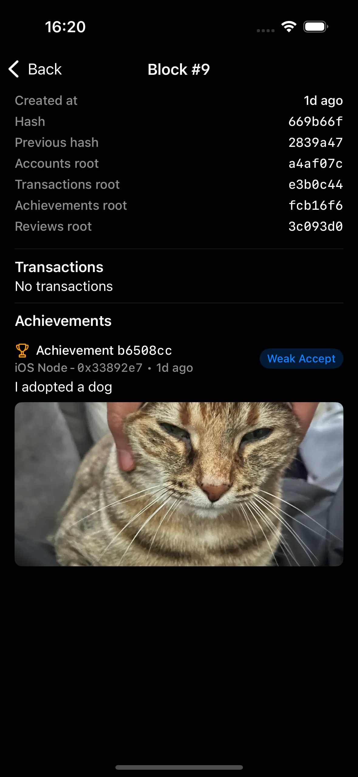 Proof of Awesome gallery image