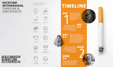 Bespoke Infographic Design Service gallery image