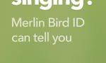 Merlin Bird ID image