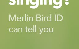 Merlin Bird ID media 2