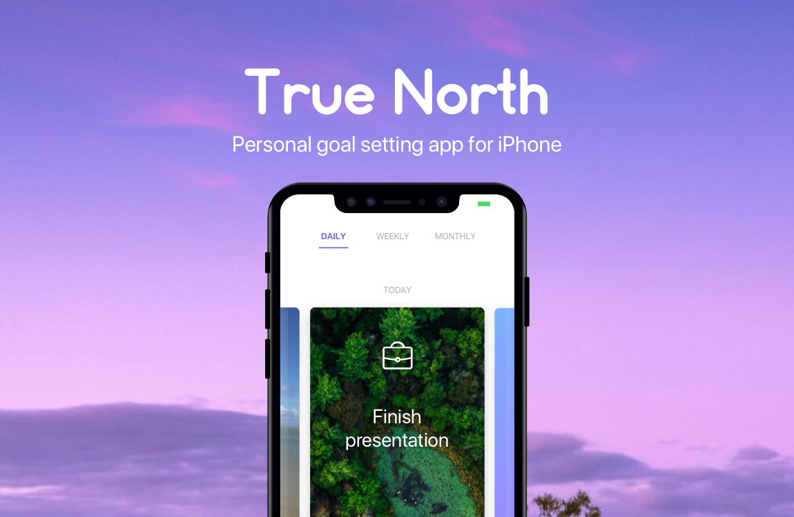 True North gallery image