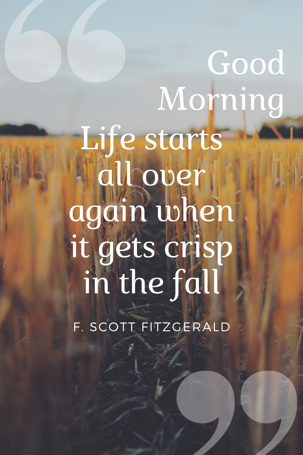 Sundar Pichai Quotes