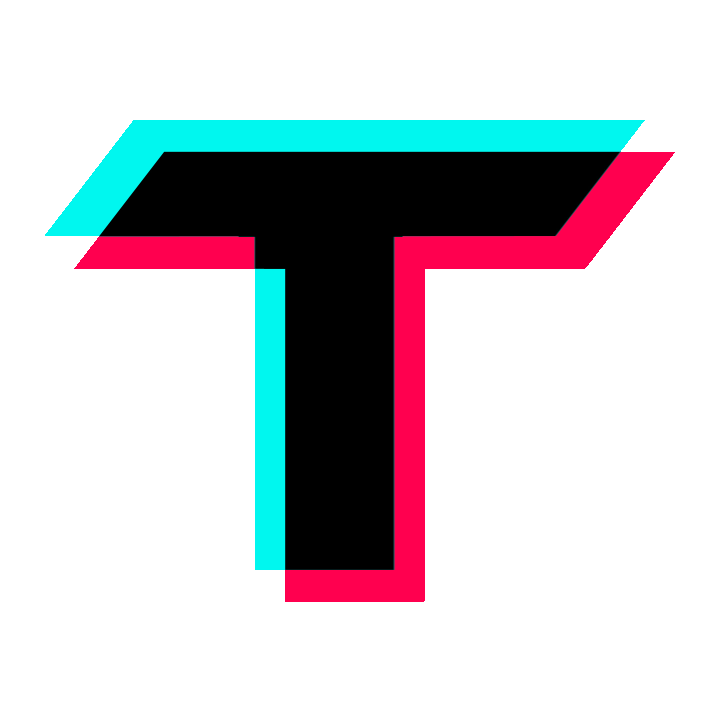Ttvideosave
