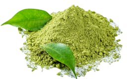 Organic Ceremonial Matcha Tea Powder media 1