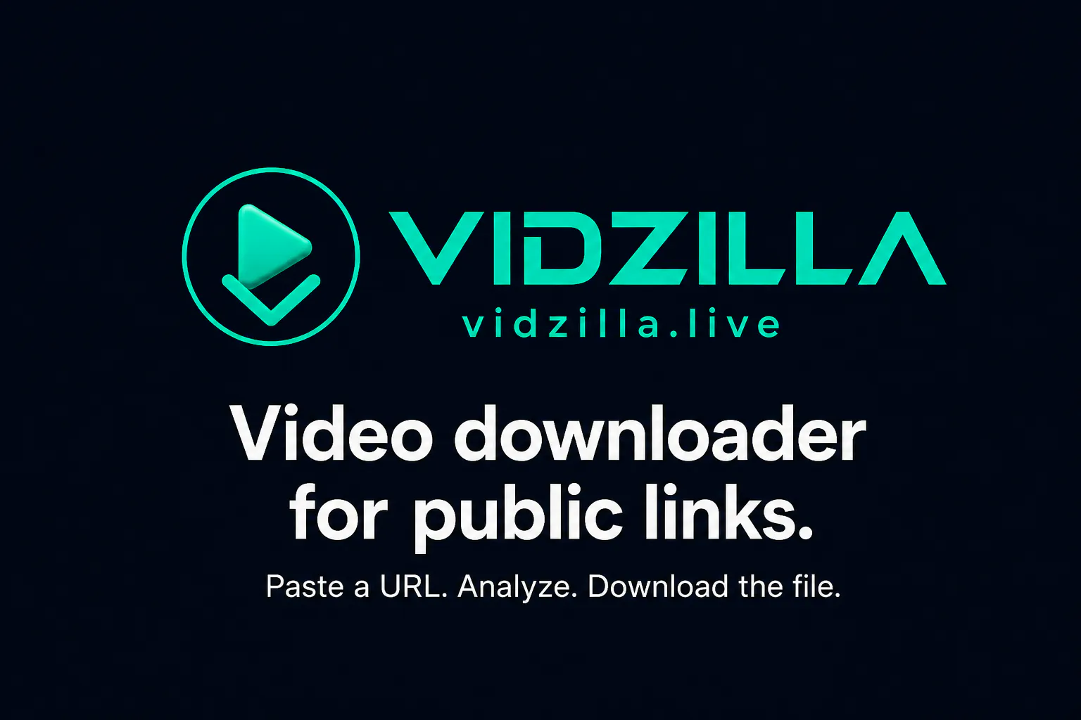 Vidzilla gallery image