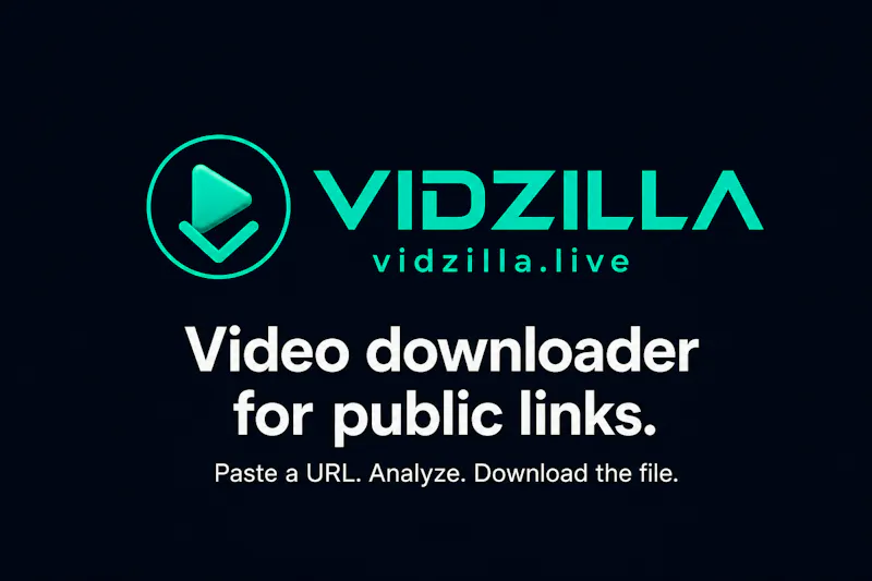 Vidzilla screenshot 1