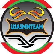 usasmmteam.com - Product Hunt launch logo and brand identity