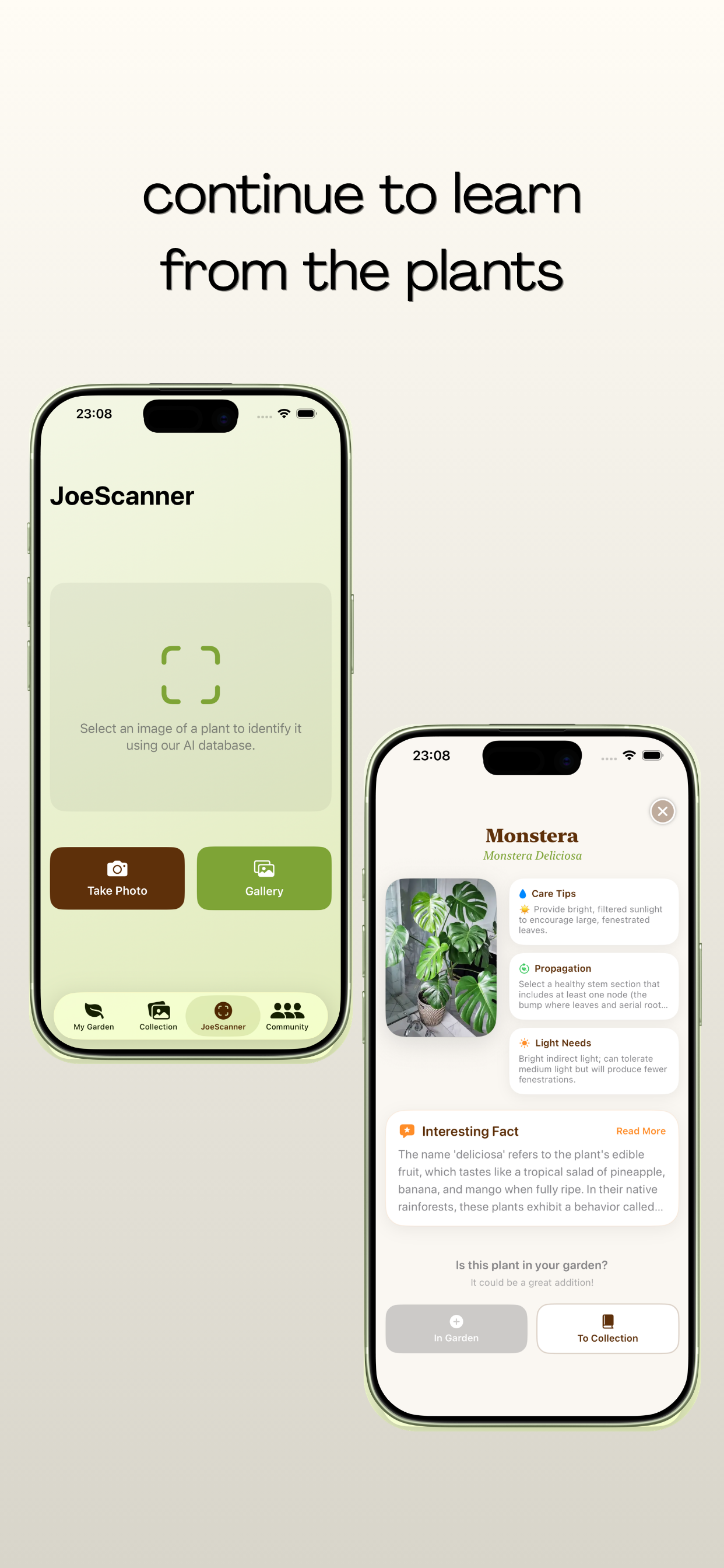 plantjoe - identify and take care plants gallery image