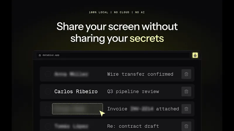 DataBlur screenshot 1 (video preview)