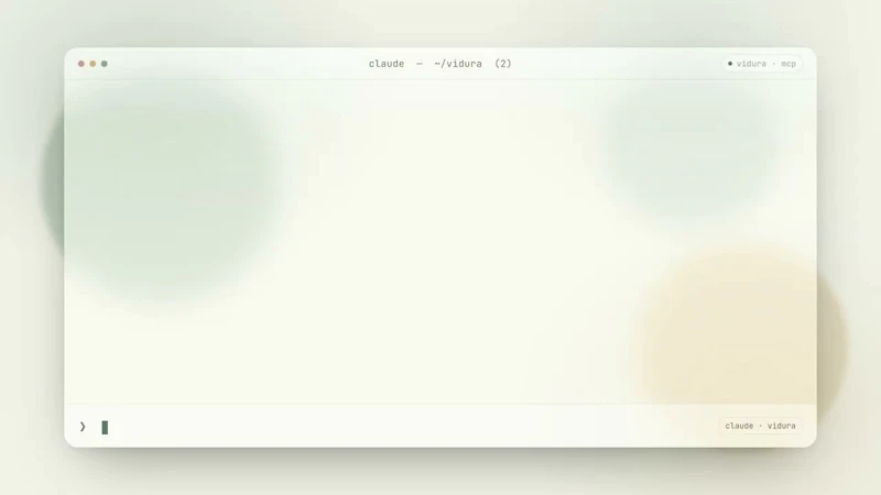 Vidura screenshot 1 (video preview)