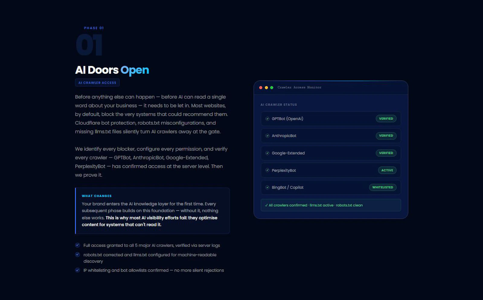 GEOAEO screenshot 12