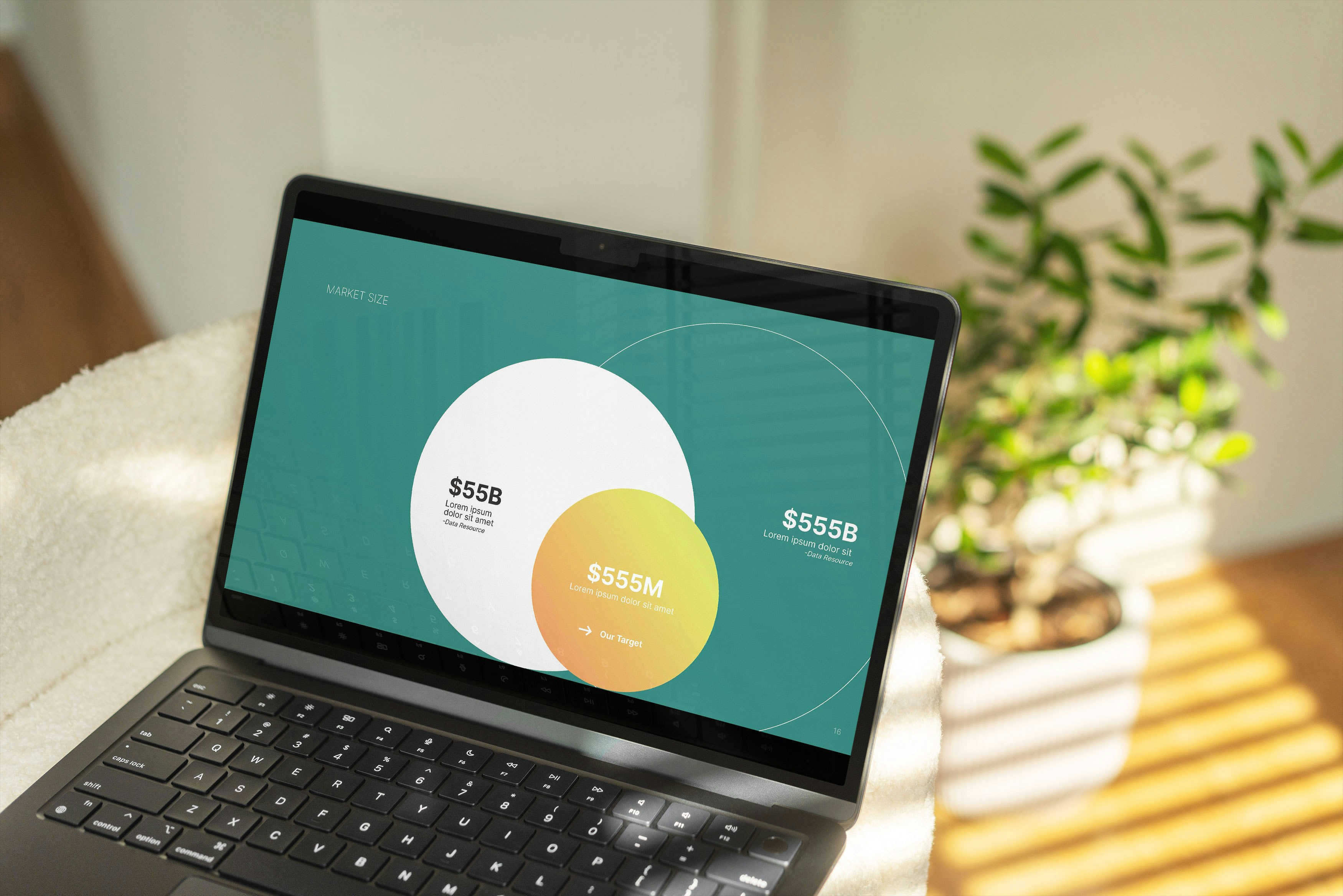 Kiwi: modèle de pitch de pitch gratuitement media 7