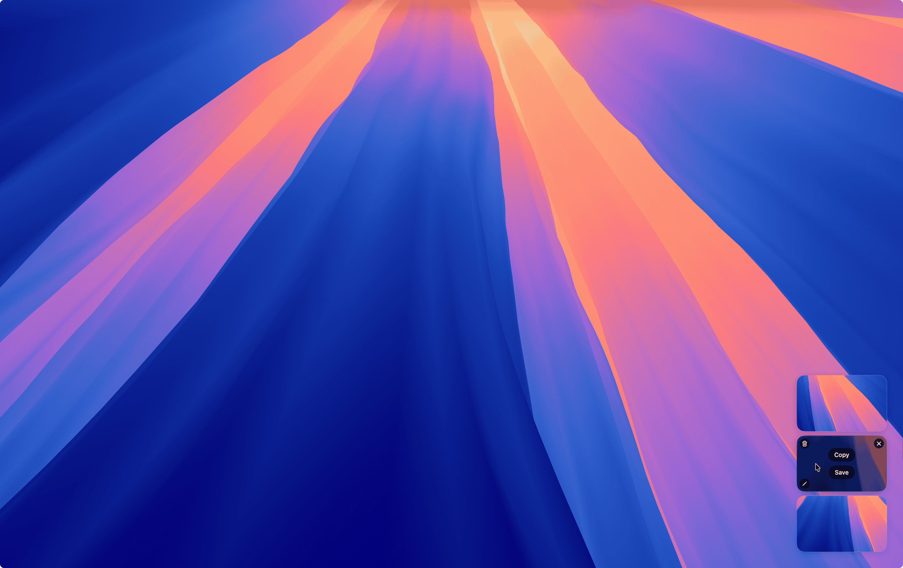 Snapzy gallery image