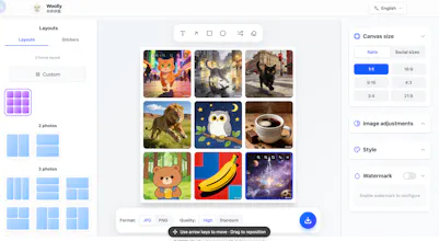 WoollyPix gallery image