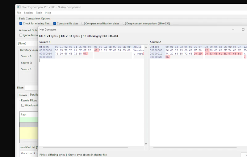 DirectCompare screenshot 5
