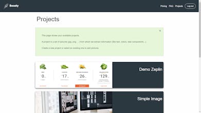 Boosty gallery image