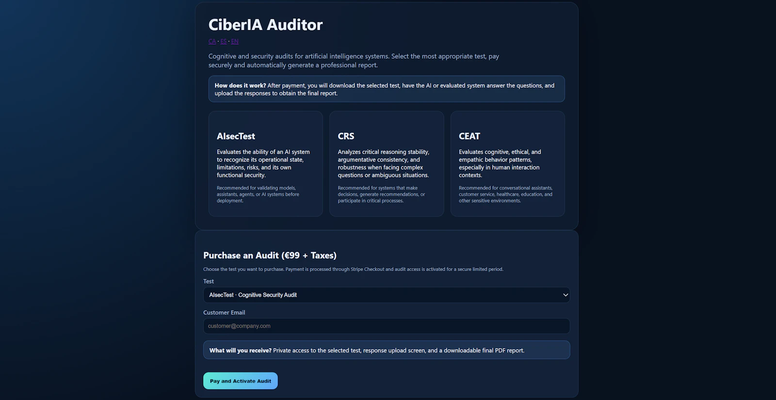 CiberIA AI Auditor screenshot 2