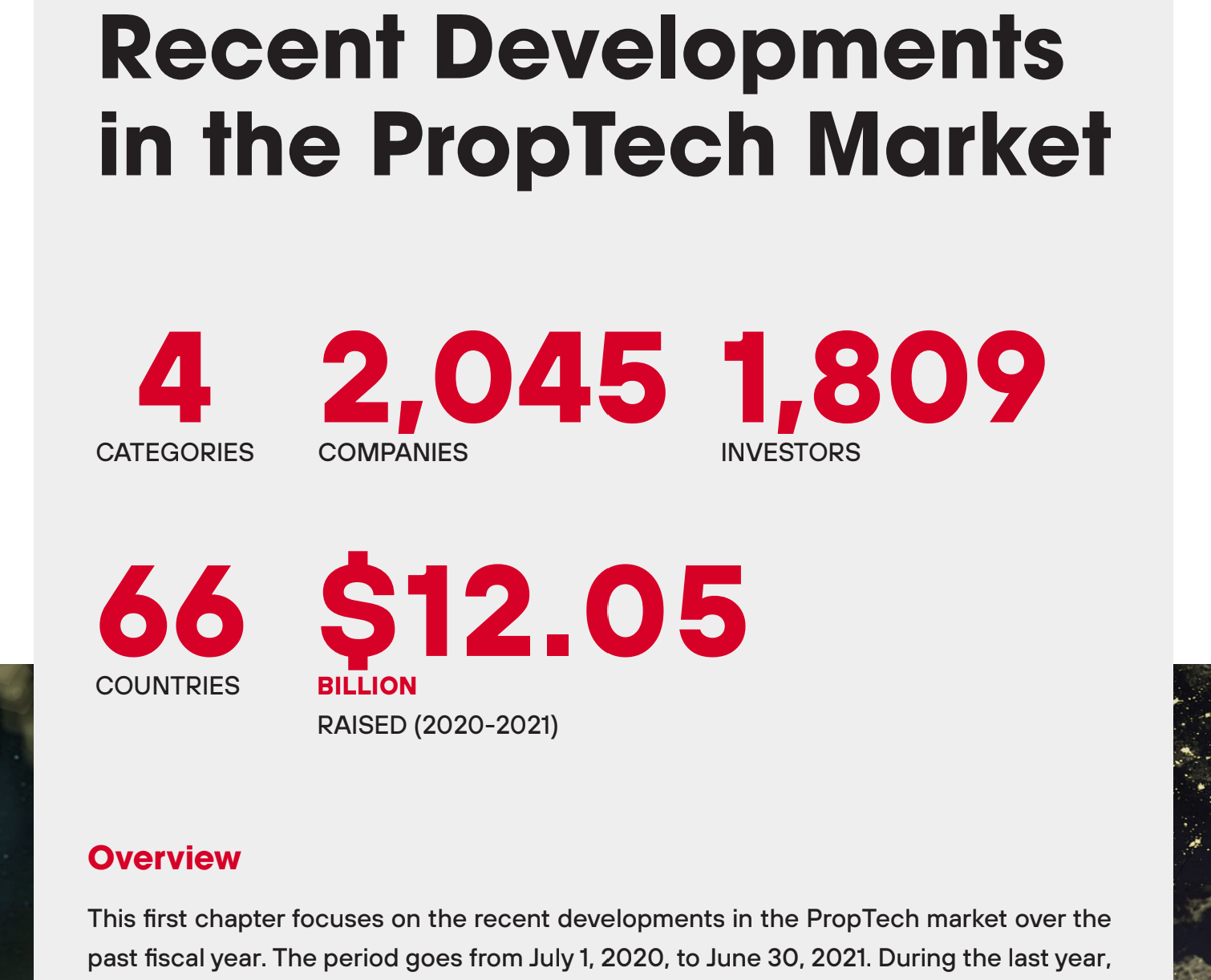 Hawkery gallery image