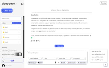 DeepSeek Pro gallery image