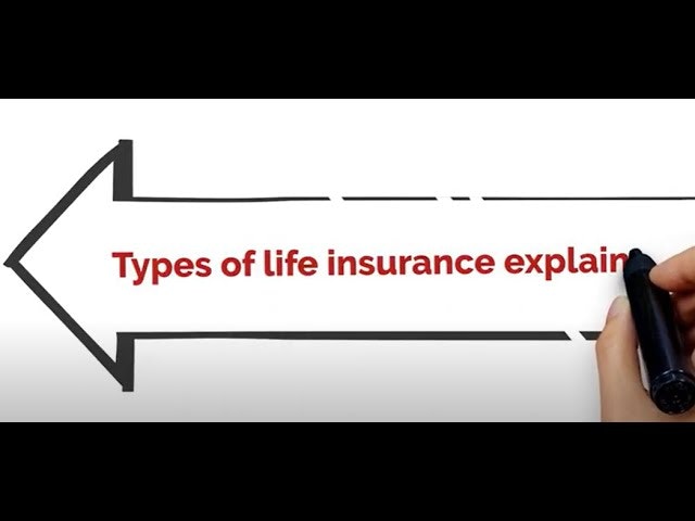 Insuranceopedia gallery image