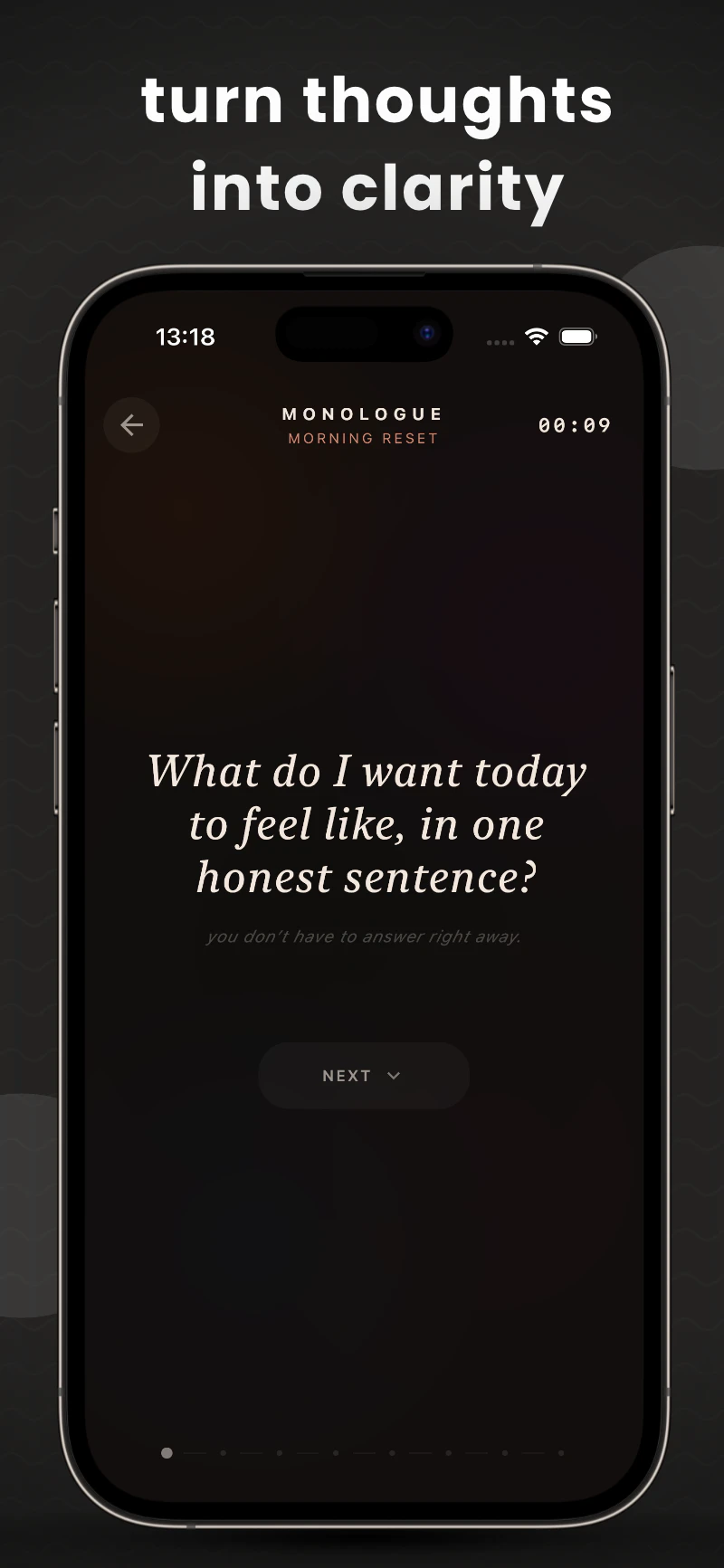 Monologue: Speak & Reflect screenshot 1