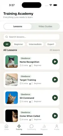 PetSchool gallery image