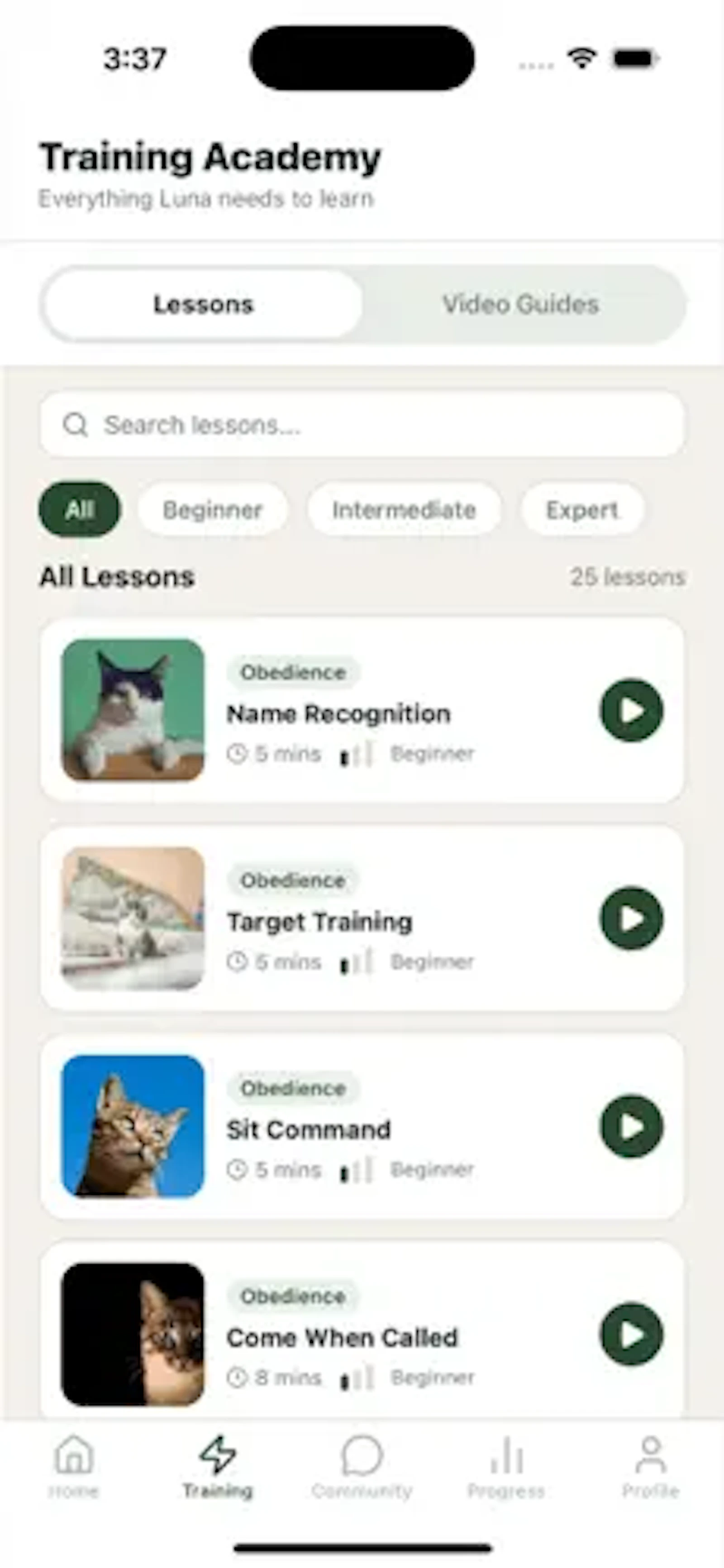 PetSchool screenshot 3