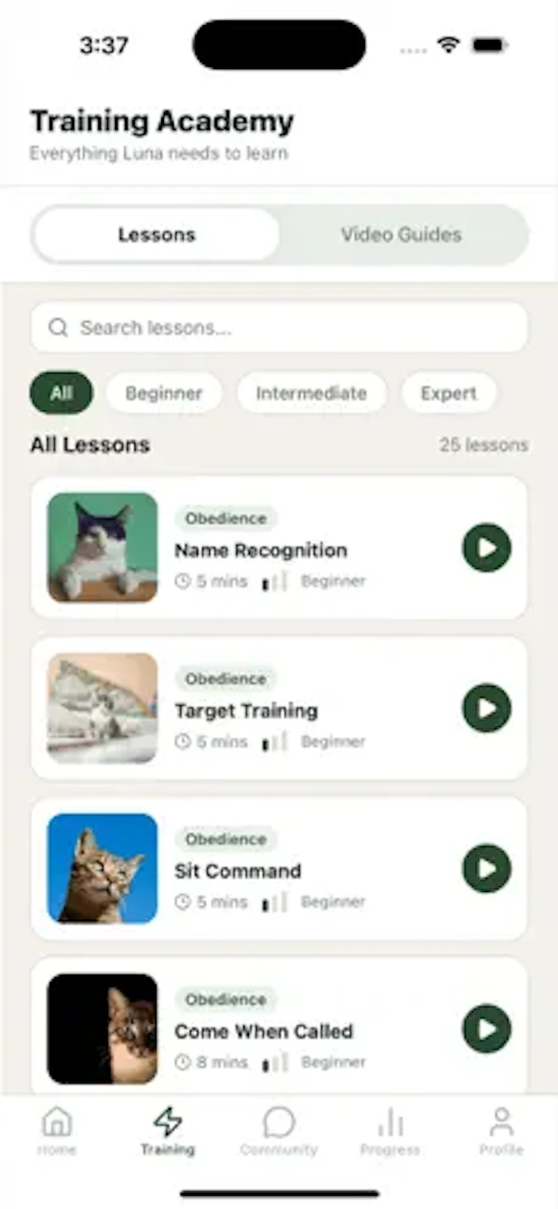 PetSchool screenshot 3