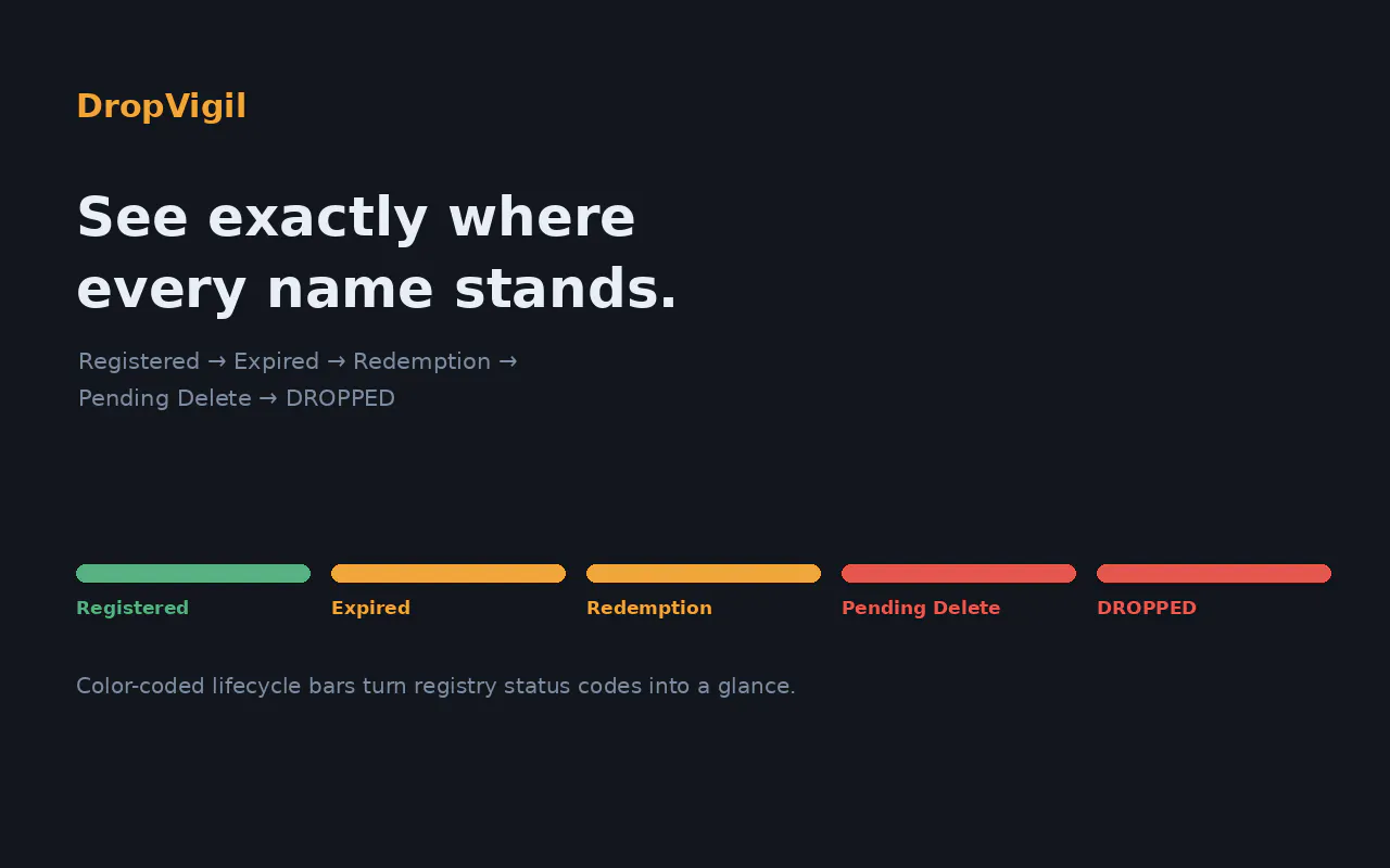 DropVigil Domain Drop gallery image