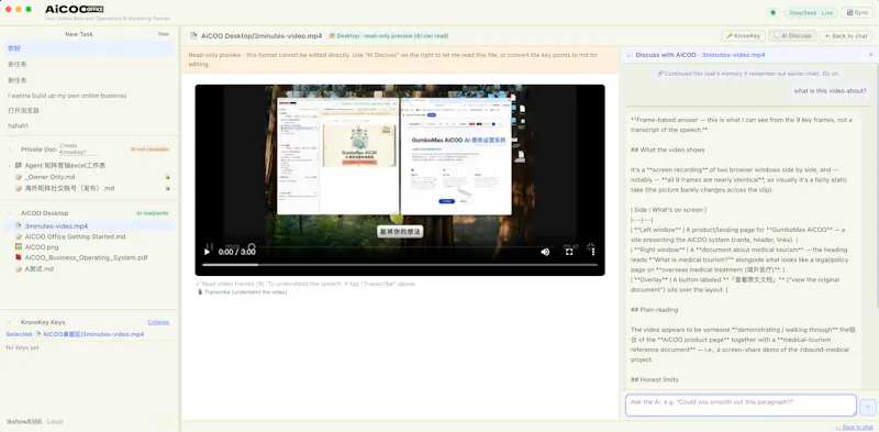 AiCOO screenshot 5