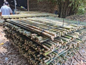 Nguyên Liệu Tre gallery image