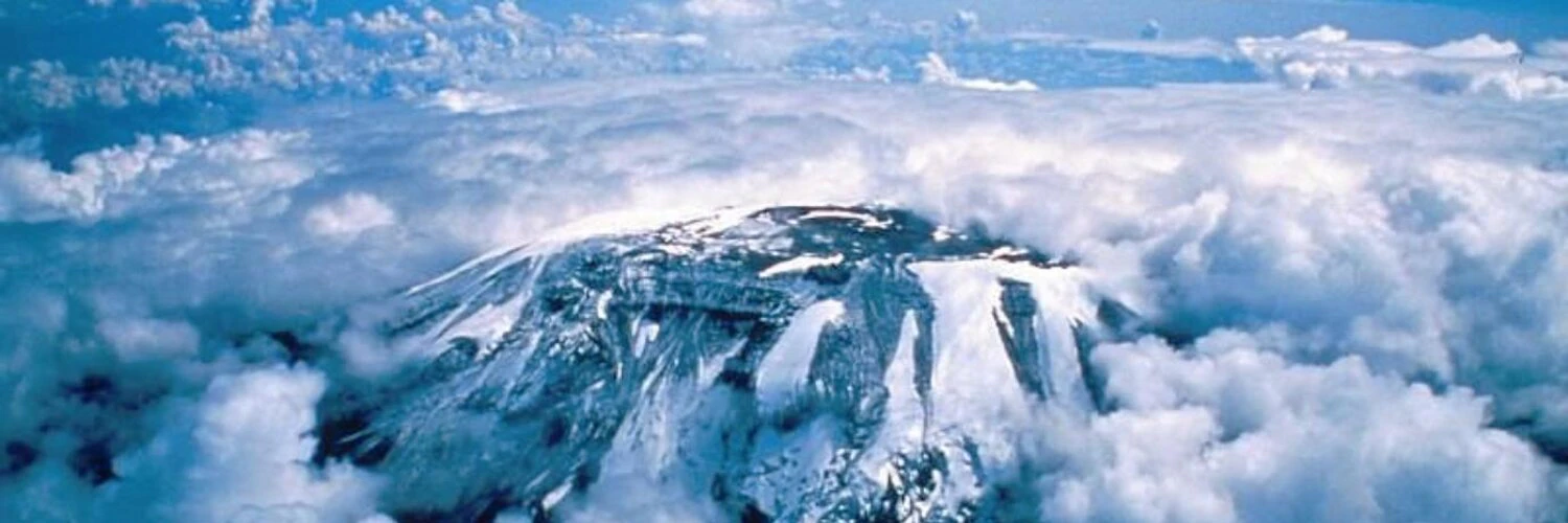 Şeyhmus Ölker cover