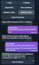 EchoSol Bot gallery image