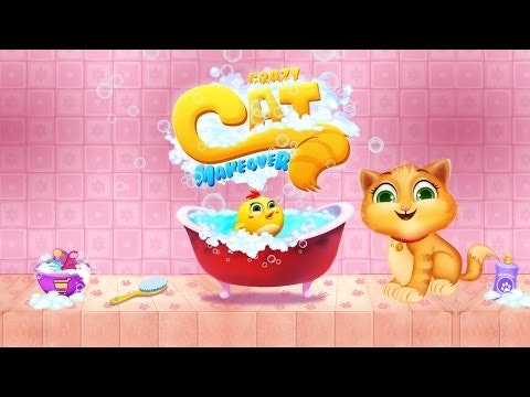 Crazy Cat Makeover