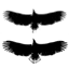 Photo Compare