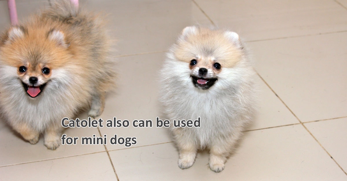 Catolet gallery image