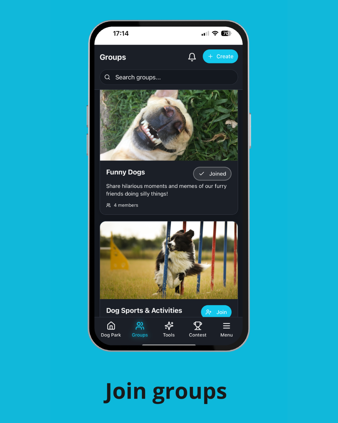 Only Dogs gallery image