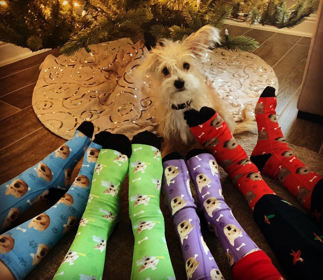 Custom Face Socks - Pup Socks gallery image