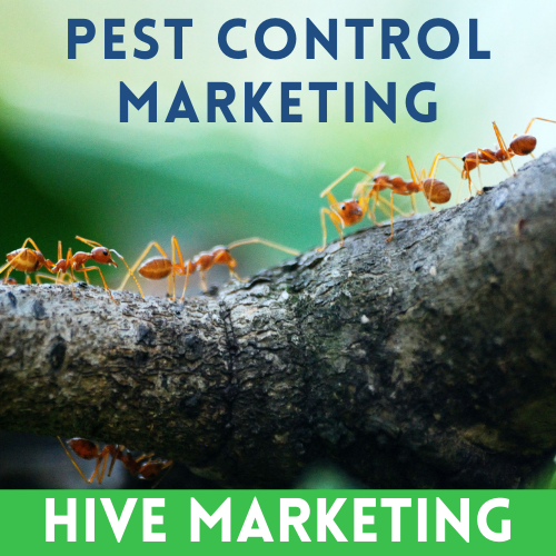 Hive Marketing Lead Generation gallery image