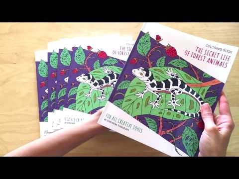 The Secret Life of Forest Animals gallery image